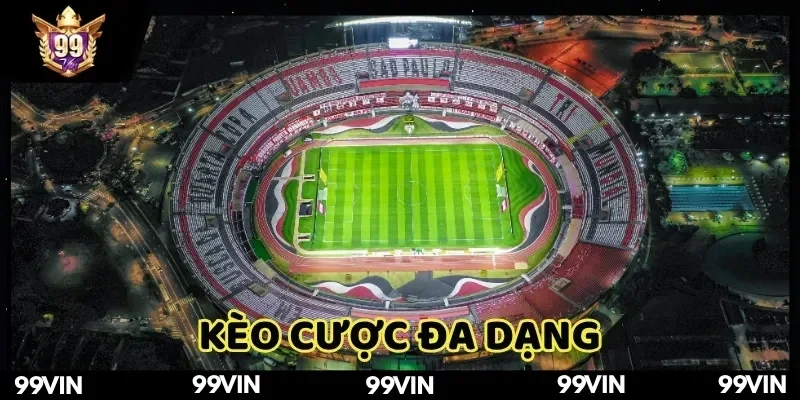 keo-bong-da-nam-my-99vin-lua-chon-keo-cuoc-khong-gioi-han