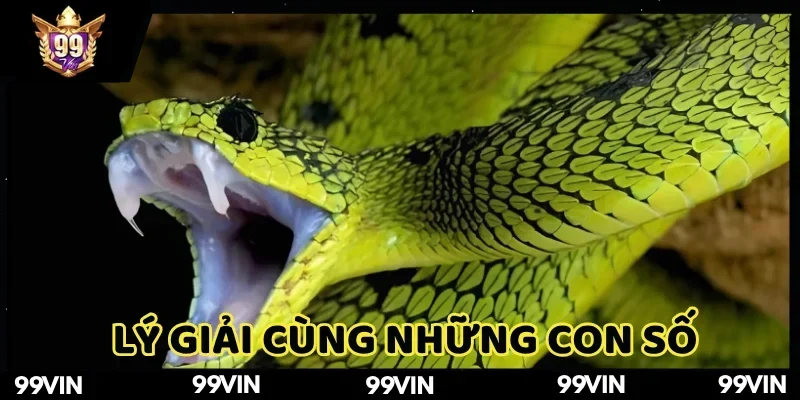 mo-thay-ran-la-diem-gi-99vin-giai-ma-can-ke