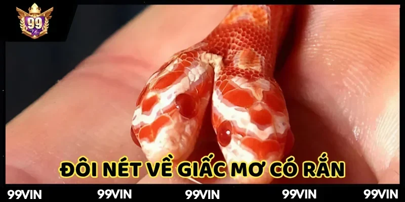 mo-thay-ran-la-diem-gi-99vin-gioi-thieu-so-luoc