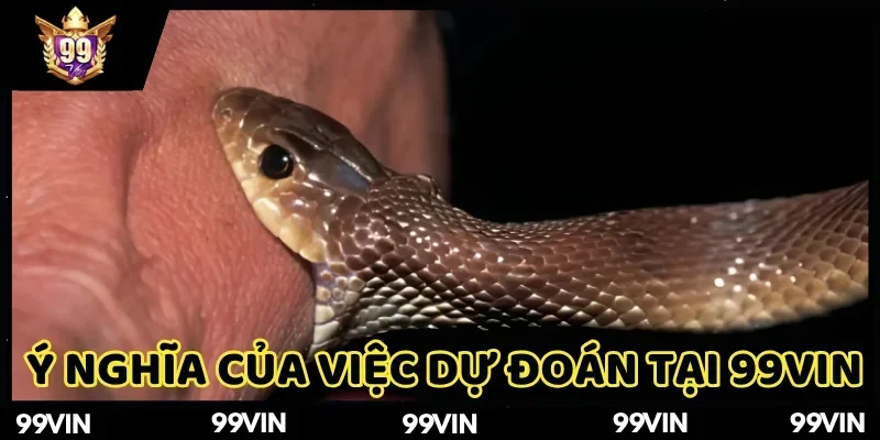 mo-thay-ran-la-diem-gi-99vin-nhung-loi-ich-noi-bat