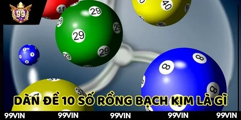 tim-hieu-dan-de-10-so-rong-bach-kim-99vin-la-gi