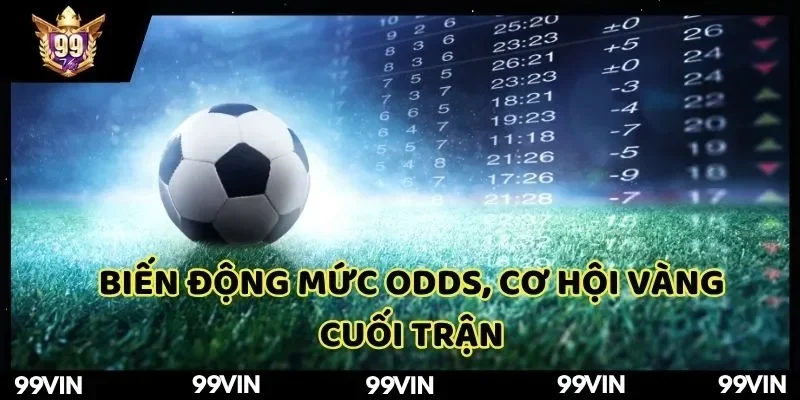 ty-le-keo-bong-99vin-de-y-su-thay-doi-cua-muc-odds