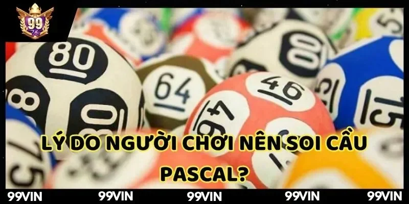 ly-do-nguoi-choi-nen-soi-cau-pascal-99vin