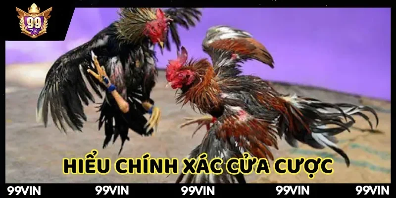 da-ga-99vin-hieu-chinh-xac-cua-cuoc-de-xuong-tien-thong-minh